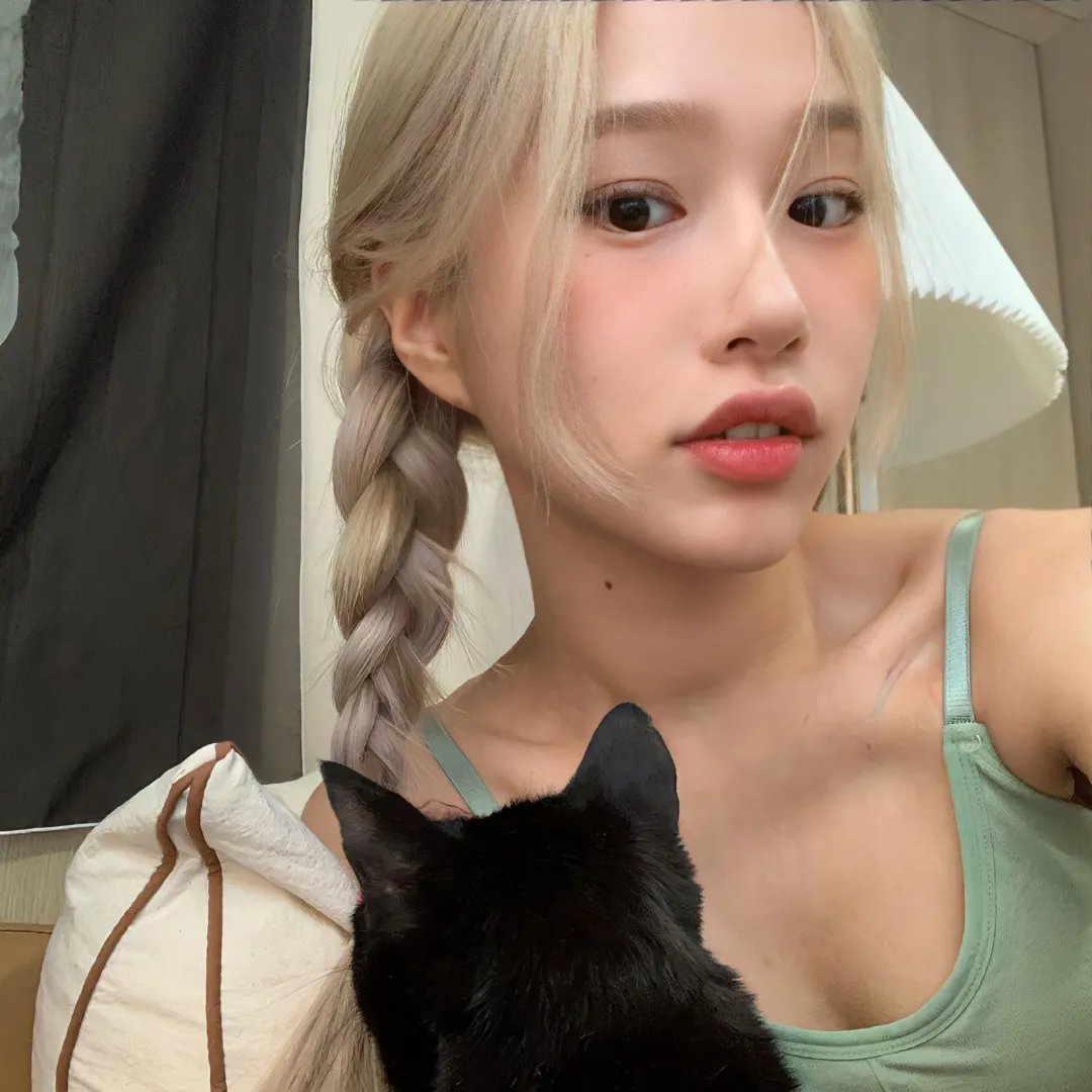 十二猴子 在线观看