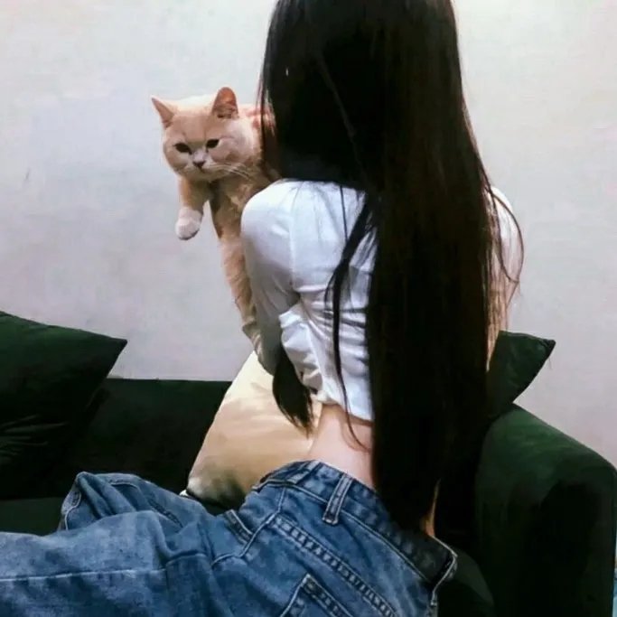 职场小烈第四季 在线观看