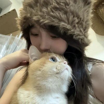 庙街故事 在线观看